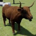 高地牛模拟器游戏-高地牛模拟器Highland Cattle Sim安卓版下载