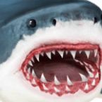 终极鲨鱼攻击3D下载-终极鲨鱼攻击3D手游下载