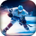 冰球大师挑战赛游戏-冰球大师挑战赛Ice Hockey安卓版下载