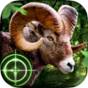 荒野猎人3D中文版下载-荒野猎人3D游戏最新版下载