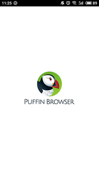 puffin浏览器(Puffin Cloud Browser)图集展示4
