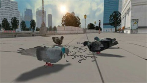 鸽子生存模拟器图集展示3